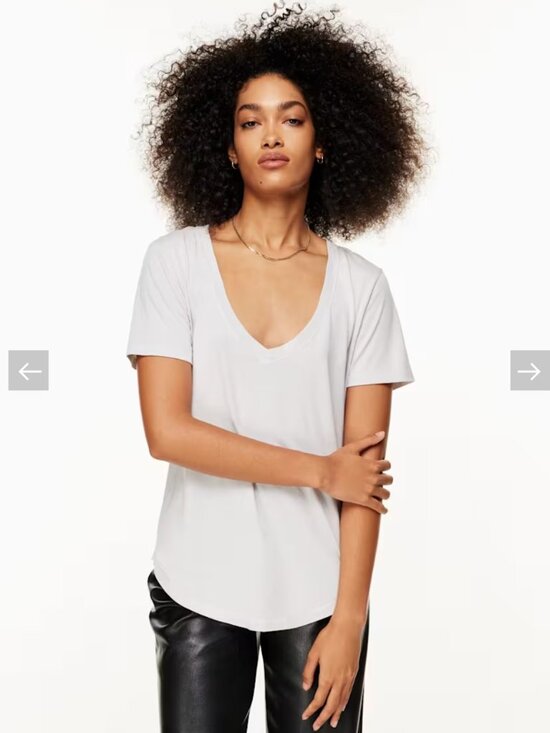 Aritzia Tops - Aritzia the group foundation t shirt